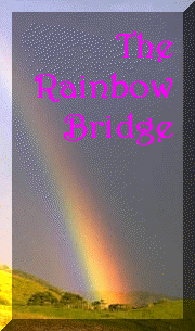 The Rainbow Bridge