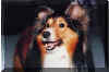 Happy at home (Aug 91)