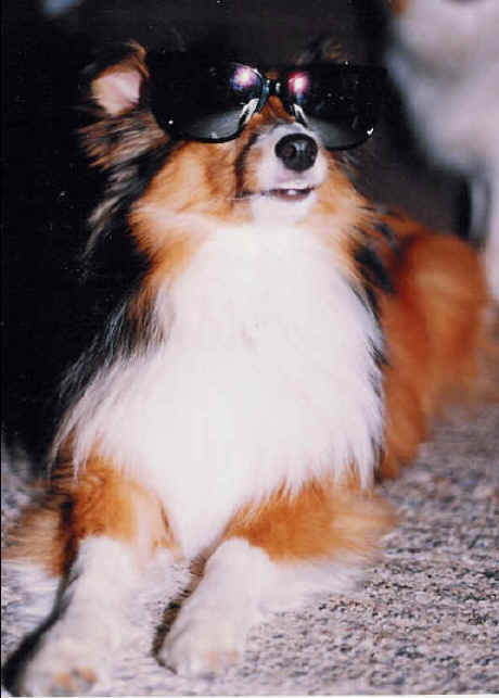 Shaun showing off his 'cool' side (June 1990)