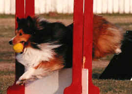 Shaun at practice (May 1991)