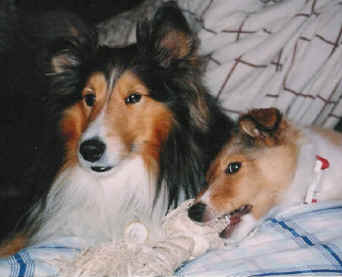 Shaun with his new love: Sisko (May 1997)