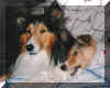 Shaun & Sisko (May 97)