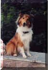 Sisko in the park (August 2001)