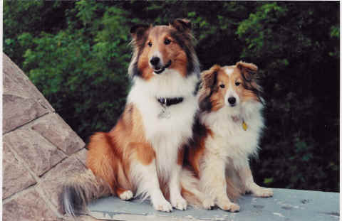 Shelley and Sisko - alone at last (August 2001)