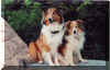 Sisko & Shelley in the park (August 2001)